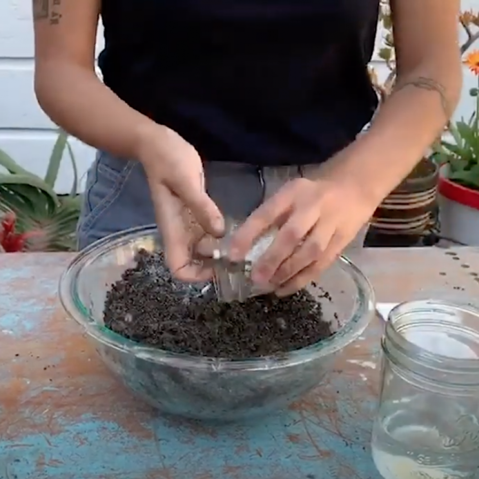 Making Seed Balls The Edible Schoolyard Project
